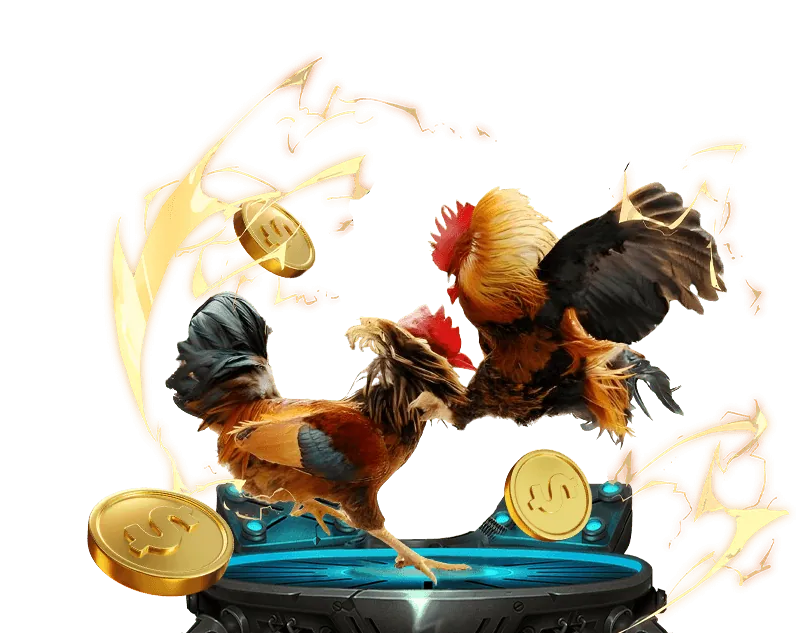 Biểu đồ phân tích hiệu suất trang web